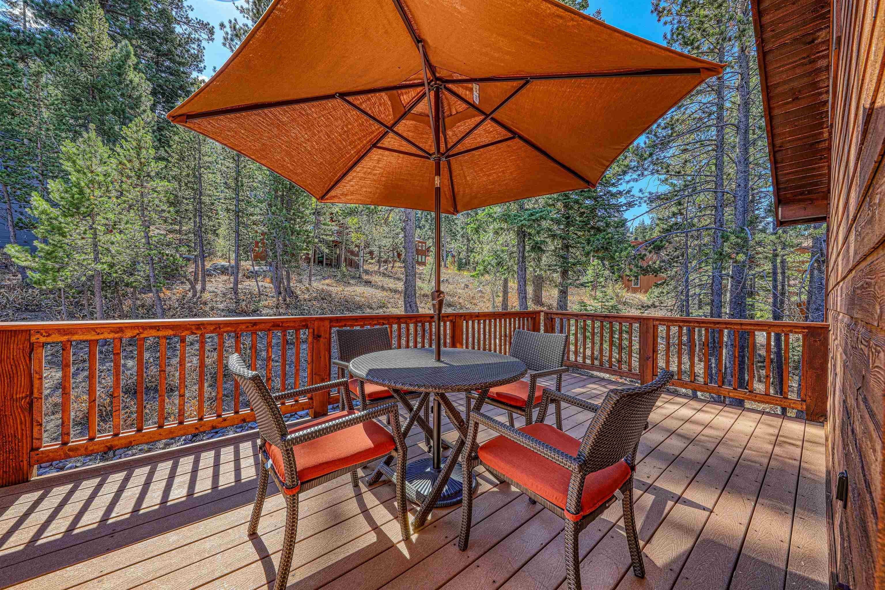 1305 Mineral Springs Trail