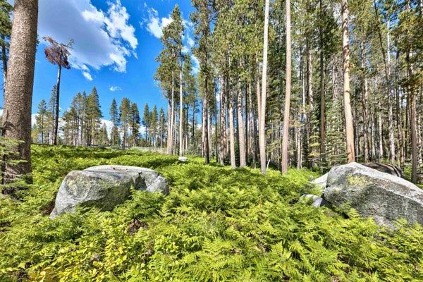 22028 LOTTA CRABTREE TER, SODA SPRINGS, CA 95728 - Image 4fc03fcee7c387aa036f1371ecf8fbb8/1323533044