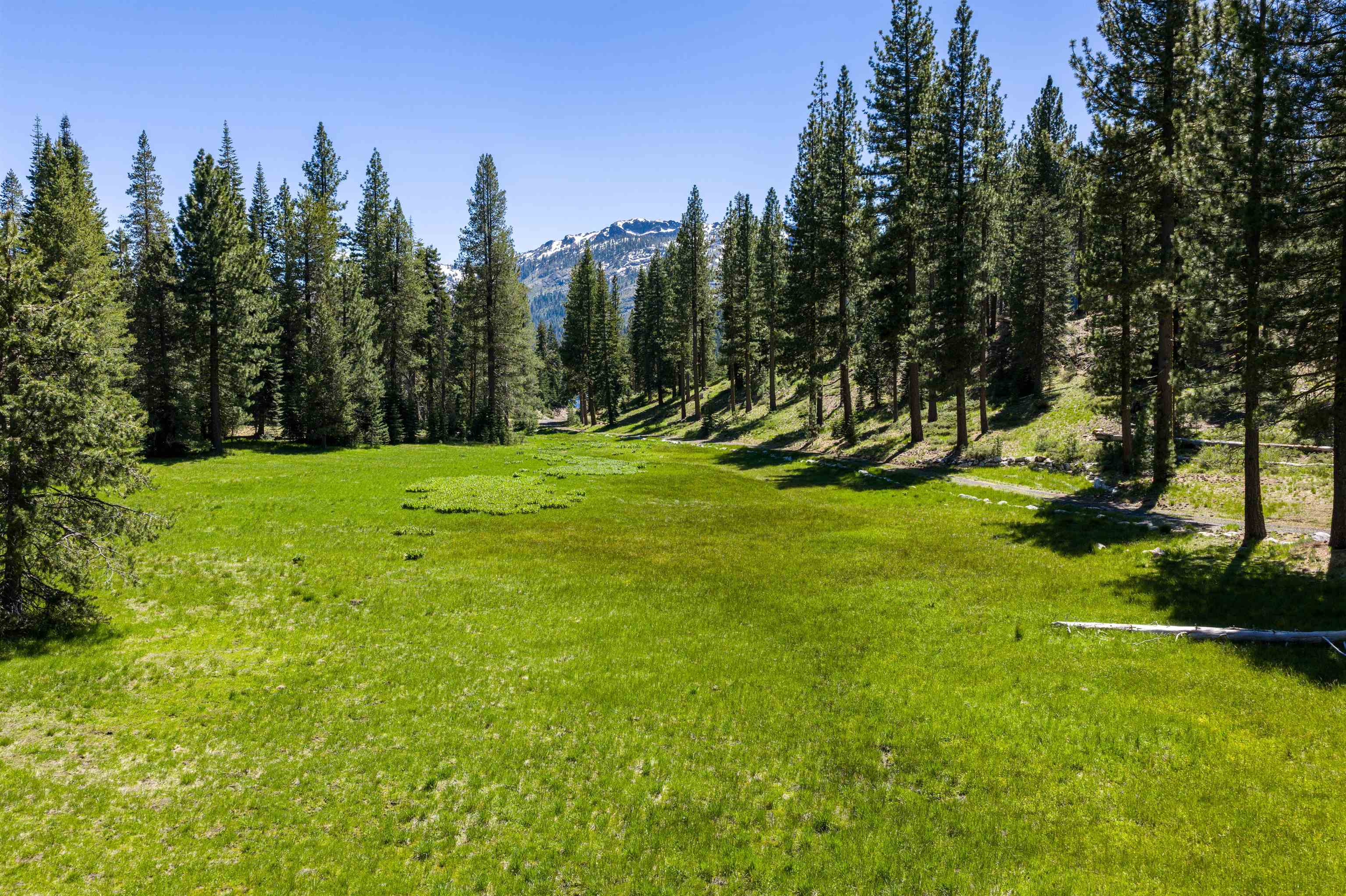 Henness Pass Road