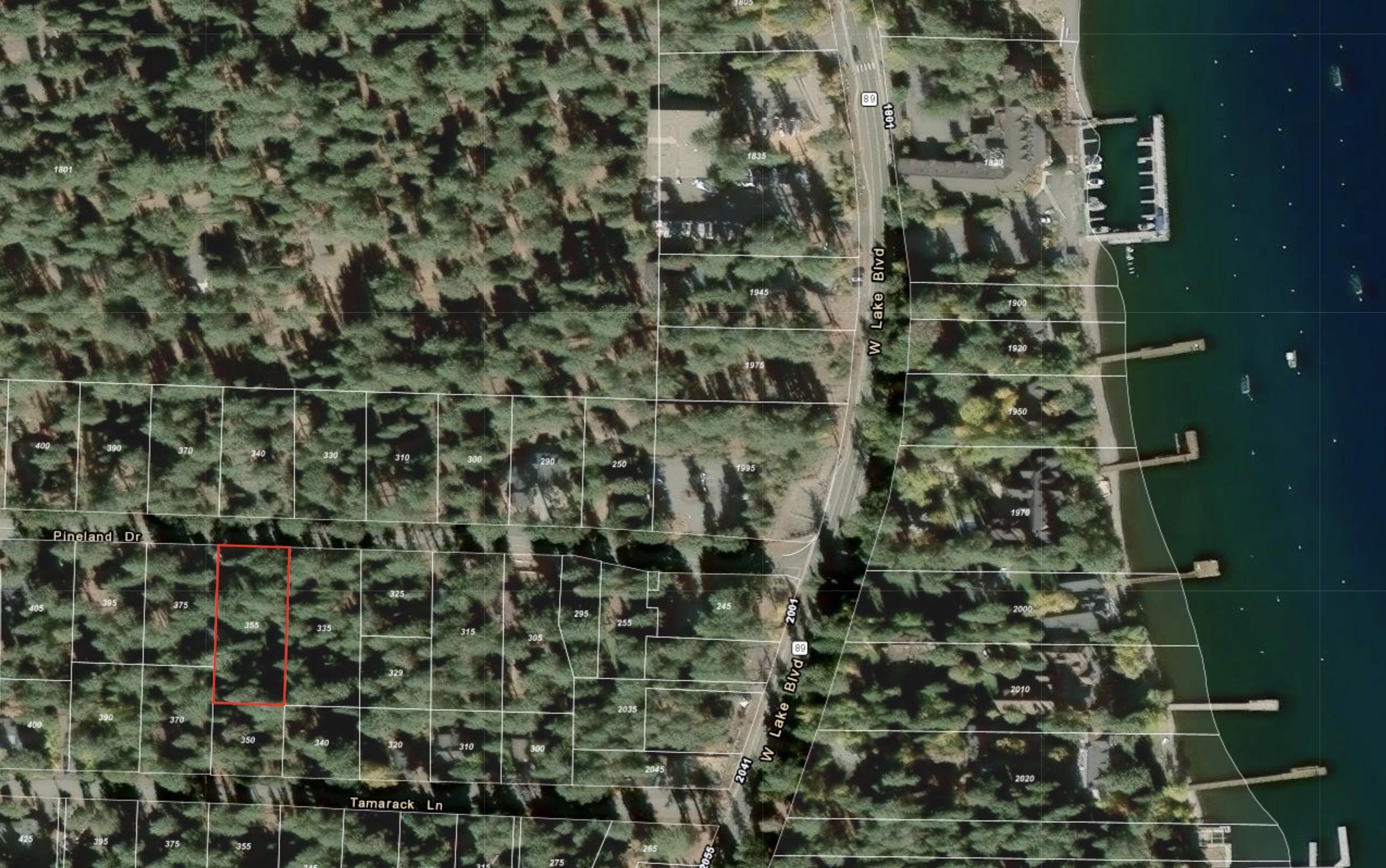 335 Pineland Drive