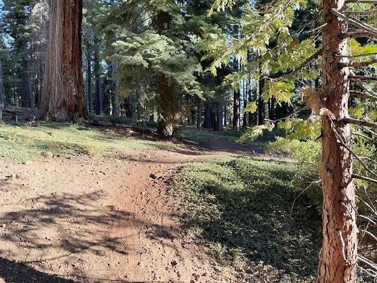 425 UPPER RD, TAHOE CITY, CA 96145 - Image 71ab971a9293dc3eaac8b7d4bd7c0bed/1266872801