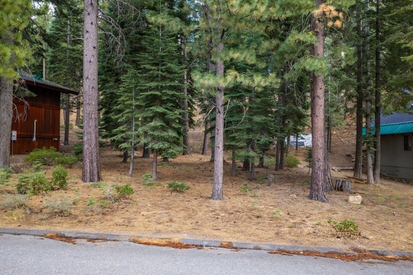 1080 MARTIS LNDG, TRUCKEE, CA 96161 - Image 7347d9b7a57104016e9bc70ec8fc3a0b/872999717