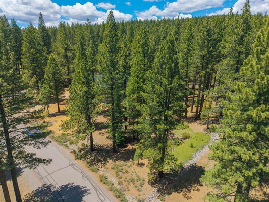 12510 GRANITE DR, TRUCKEE, CA 96161 - Image 81a07c2068a9e70cae5e2bbc0d70002f/643844099
