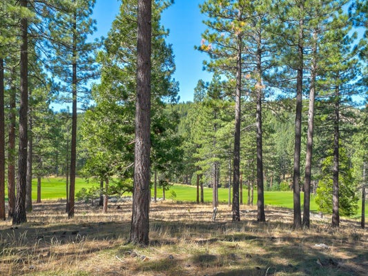 205 RED HAWK DR, PORTOLA, CA 96122 - Image 82a3a8a3eb5ffd97560a8dd9f3a9e8a5/3382231168