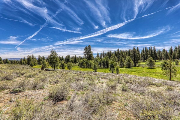 10800 GHIRARD CT, TRUCKEE, CA 96161 - Image 9bfb57d52237faf2843aa2e35b8b74f1/3055455970