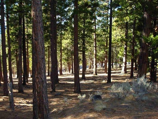 CEDAR LN, GRAEAGLE, CA 96103 - Image 9d3396ef744c344944d2c38cdb413bf7/1997991317