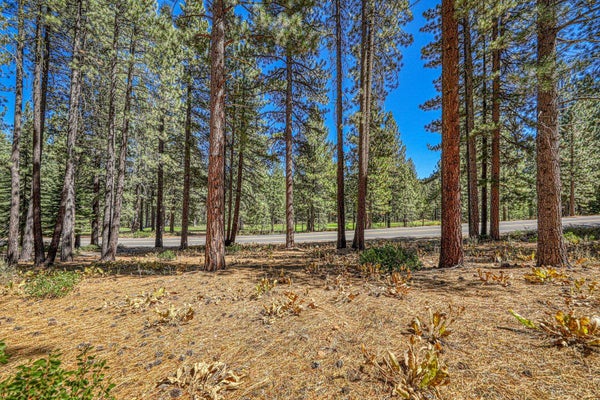 139 BASQUE DR, TRUCKEE, CA 96161 - Image c6b13f1b94e2eb3e99f92c7a80aeb282/156689529