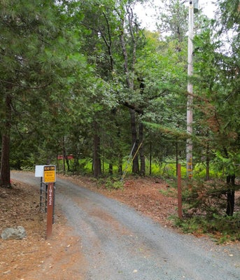 19344 LOUIS RD, GRASS VALLEY, CA 95945 - Image d2ec2908f87b3bc36a5d0b158965c0d2/3270200376
