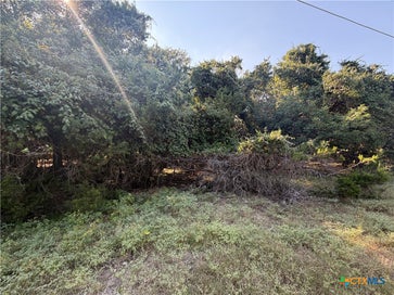 TBD Willow Run Drive Morgans Point Resort TX 76513