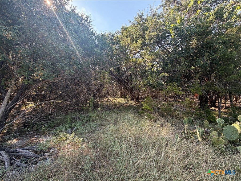 TBD Willow Run Drive