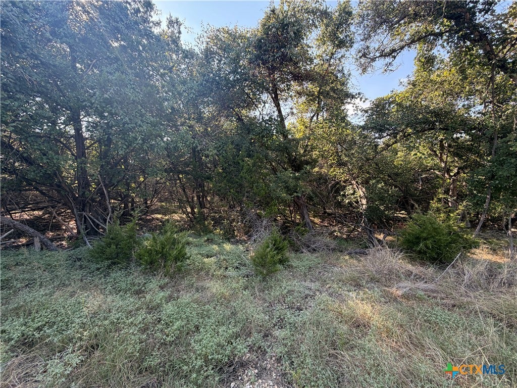 TBD Willow Run Drive