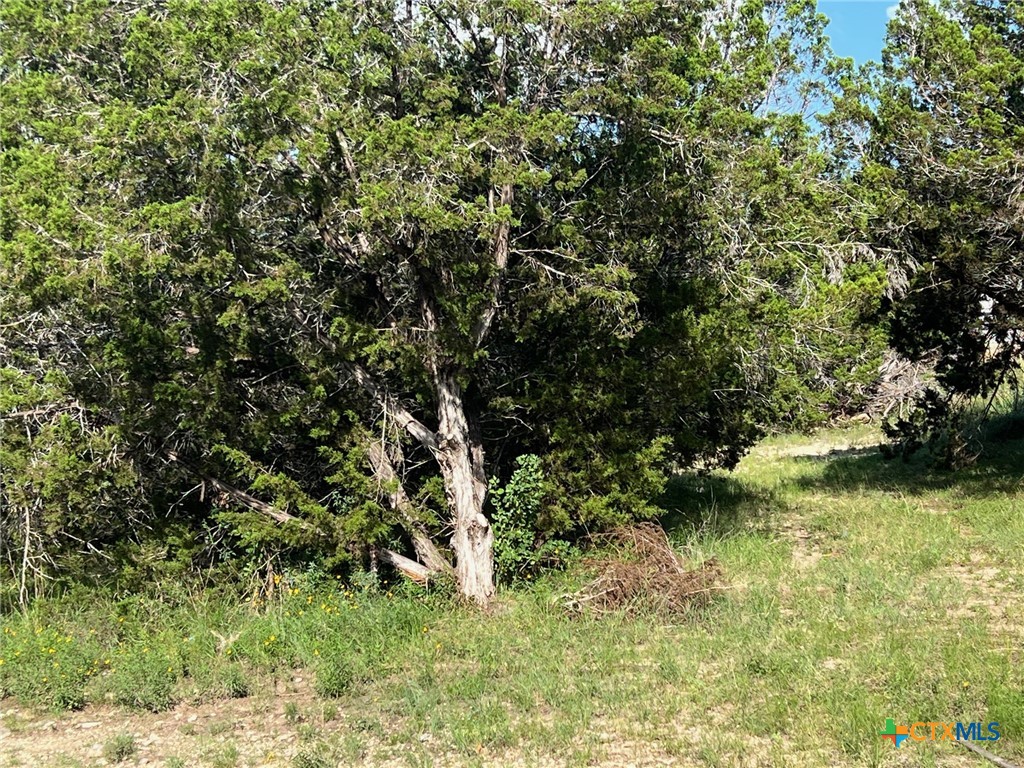 Canyon Lake, Texas 78133, United States, ,Land,Active,157419