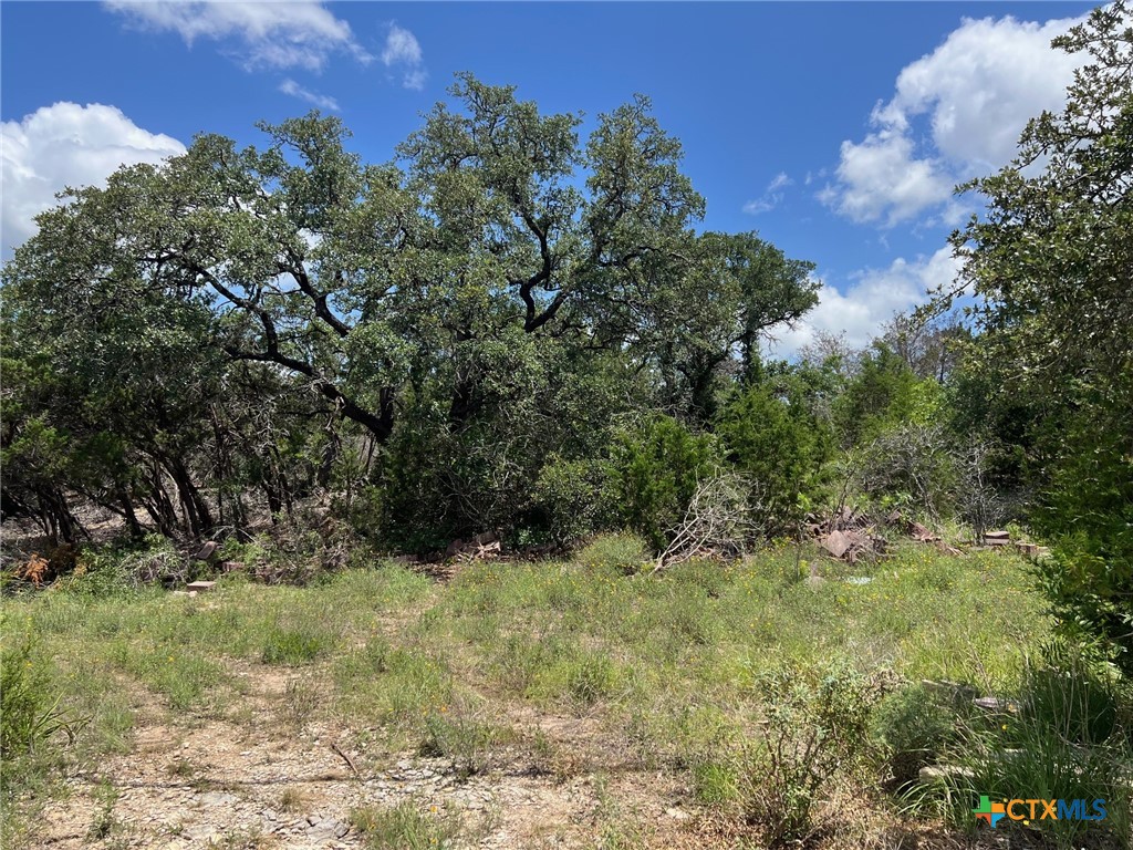 Canyon Lake, Texas 78133, United States, ,Land,Active,157419