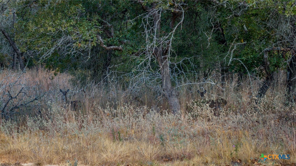 Tract 14 Sandstone Ln