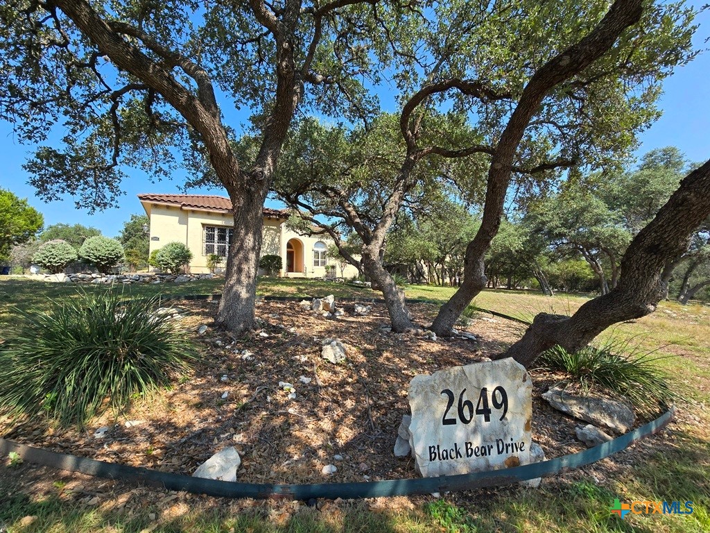 2649 Black Bear Drive