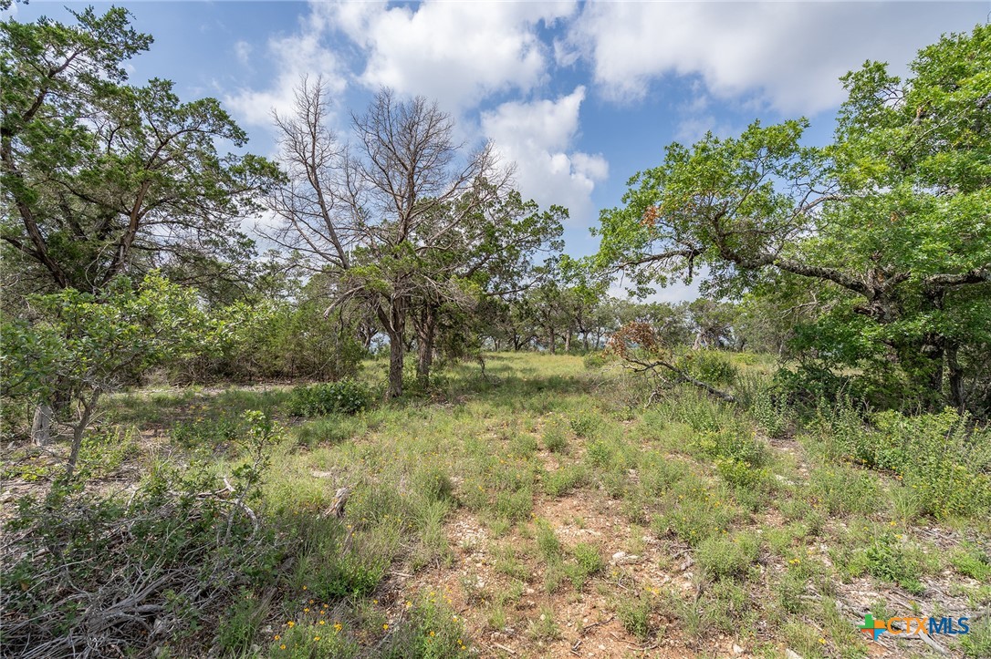19705 Tyler Trail
