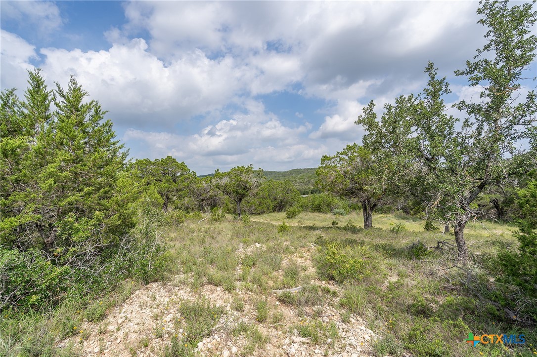 19705 Tyler Trail