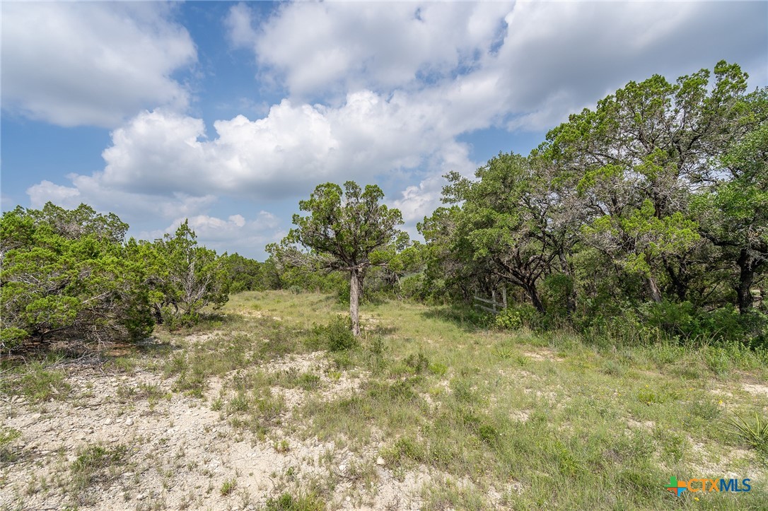 19705 Tyler Trail
