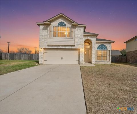 Photo of 4703 Black Forest Lane, Killeen, TX 76549 (MLS # 605842)