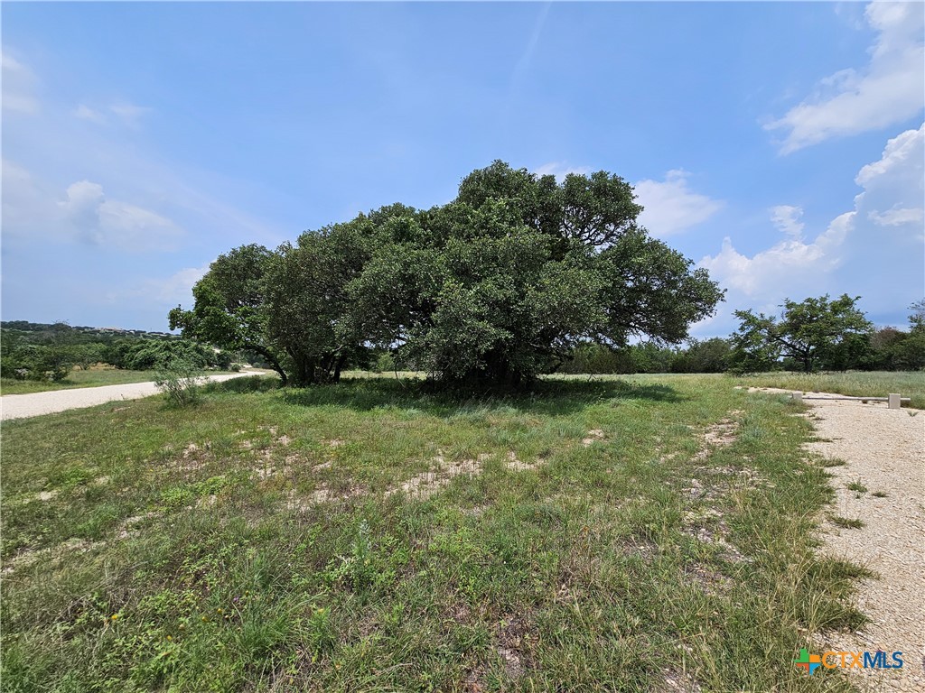 TBD FM 580 (Tract 67)