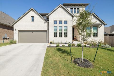 117 Peacevine Lane Liberty Hill TX 78642