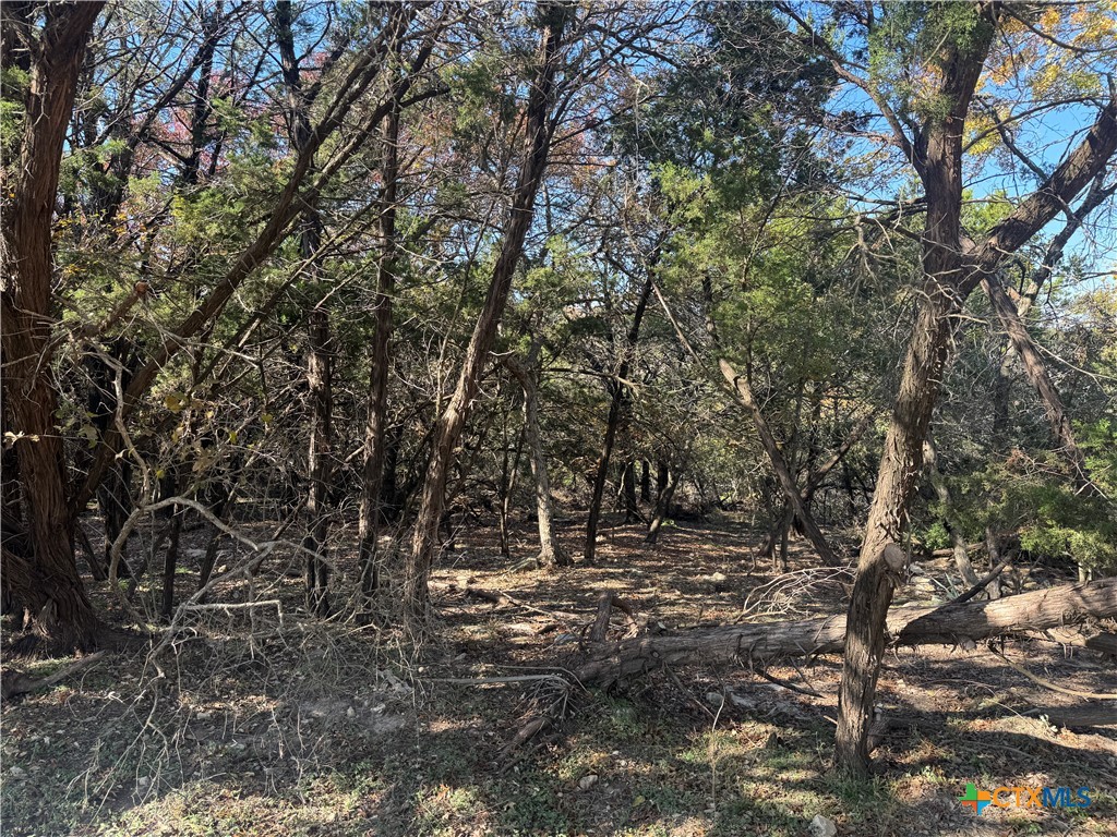 5982 Buggy Ride Road