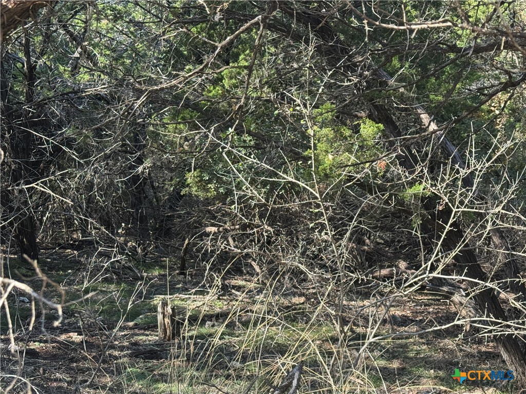 5982 Buggy Ride Road