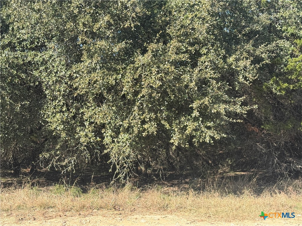 5982 Buggy Ride Road