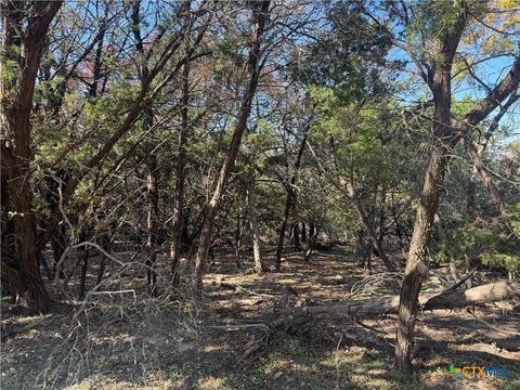 5982 Buggy Ride Road Temple TX 76502