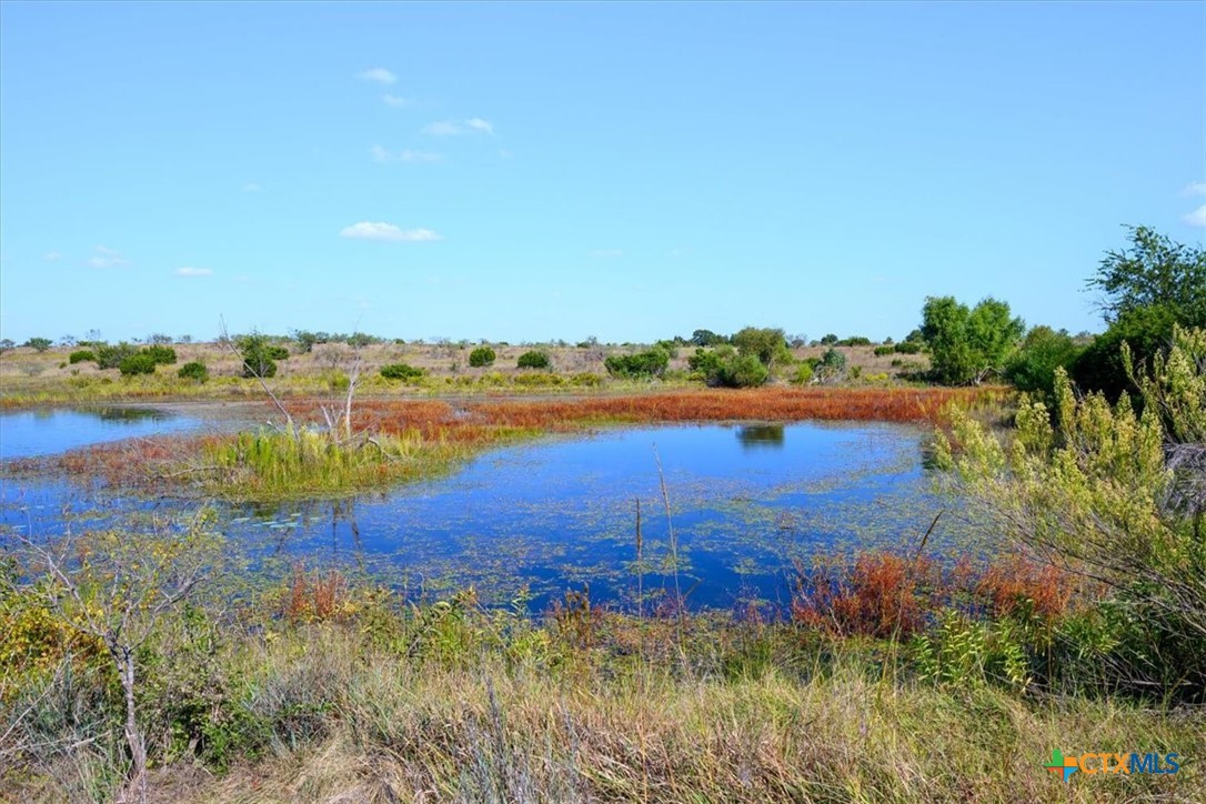 TBD-61.63 Acres County Road 414