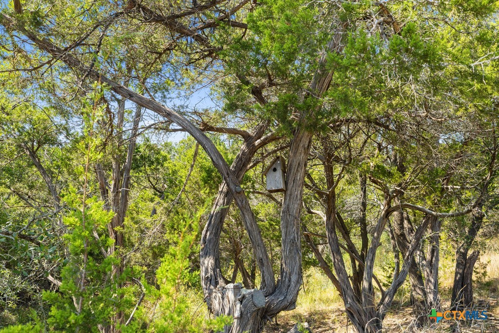 Tract 2 of 5818 Ranch Road 165