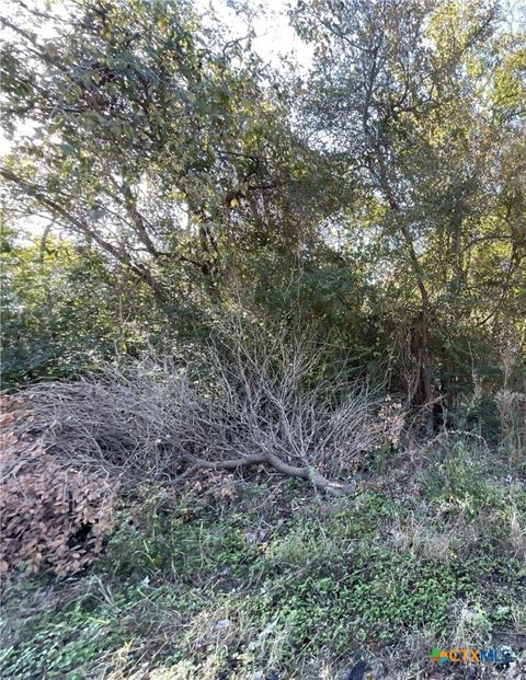 TBD Bowie & Newton Cameron TX 76520