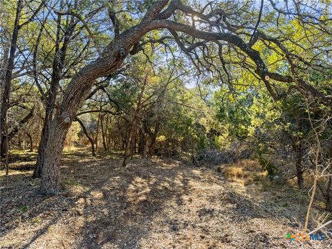 Photo of 2095 Desiree Street, Canyon Lake, TX 78133 (MLS # 602153)