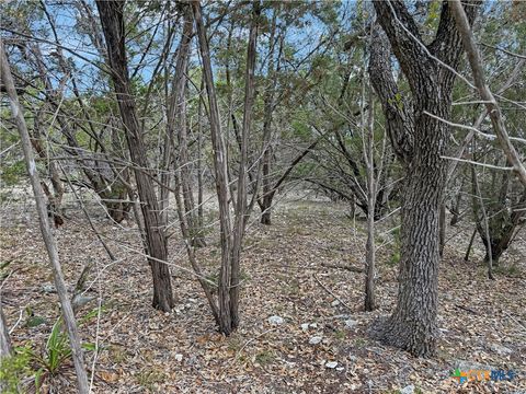 Photo of 1081 Dog Leg Lane, Spring Branch, TX 78070 (MLS # 575412)