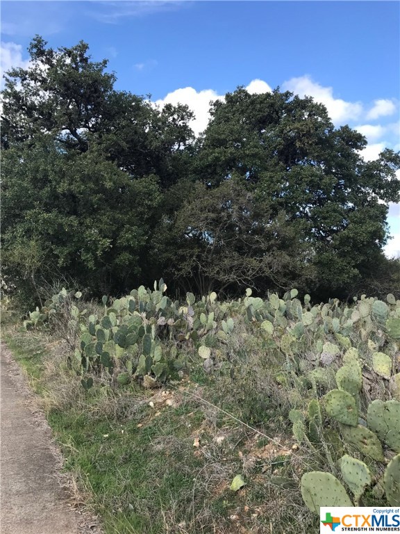 0 Craddock @ Bishop Street