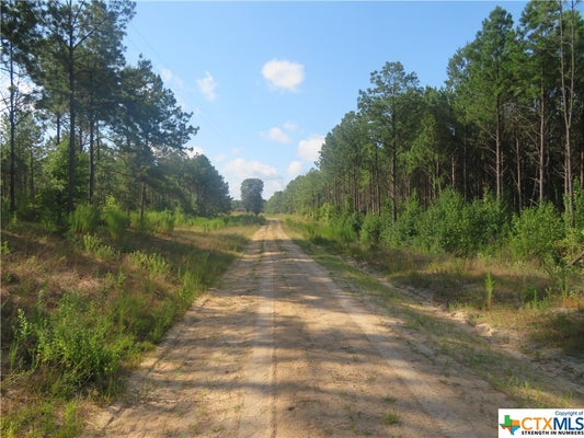 999 COUNTY ROAD 1101, WIERGATE, TX 75977 - Image 0bf0cd207db26570be74d66ea6e60c60/4236616099