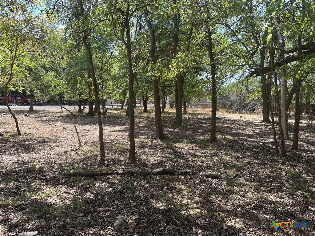 1 Dog Wood Court