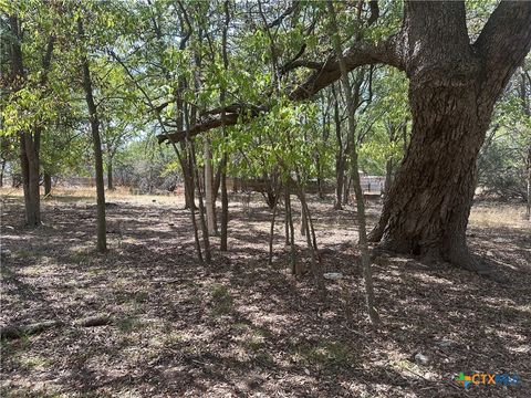 1 Dog Wood Court Morgans Point Resort TX 76513