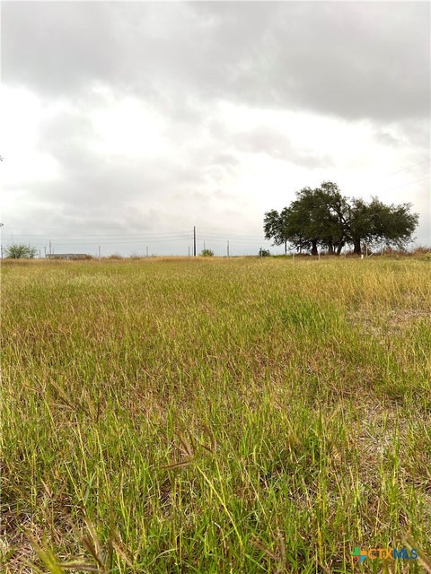 Photo of 680 Squirrel Creek Road, DHanis, TX 78850 (MLS # 621703)