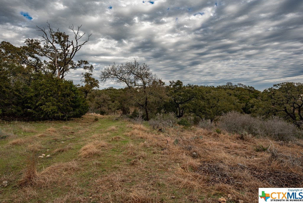New Braunfels, Texas 78132, United States, ,Land,Active,65612