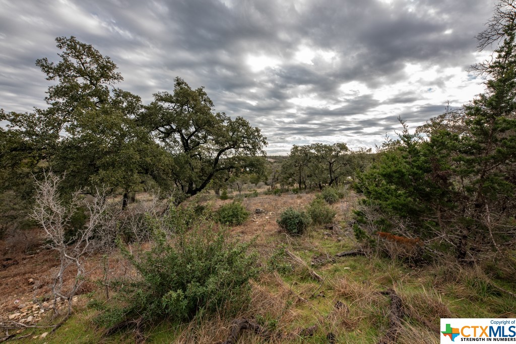 New Braunfels, Texas 78132, United States, ,Land,Active,65612