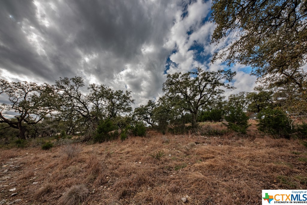 New Braunfels, Texas 78132, United States, ,Land,Active,65612