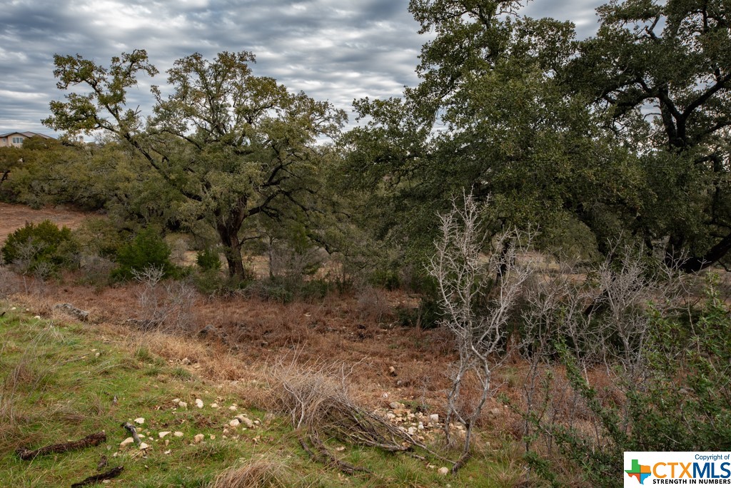 New Braunfels, Texas 78132, United States, ,Land,Active,65612
