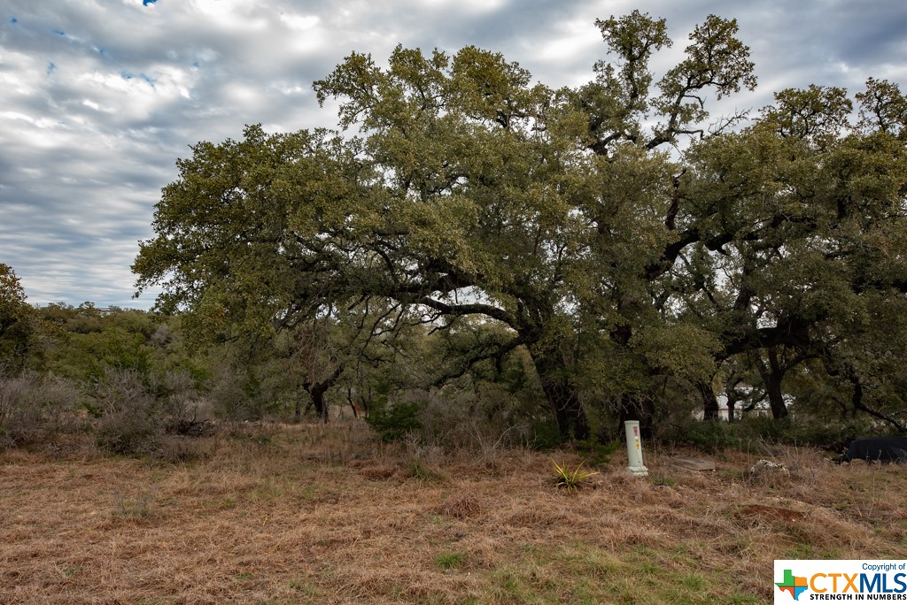 New Braunfels, Texas 78132, United States, ,Land,Active,65612