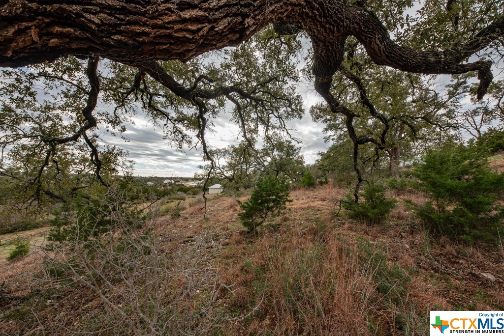 New Braunfels, Texas 78132, United States, ,Land,Active,65612