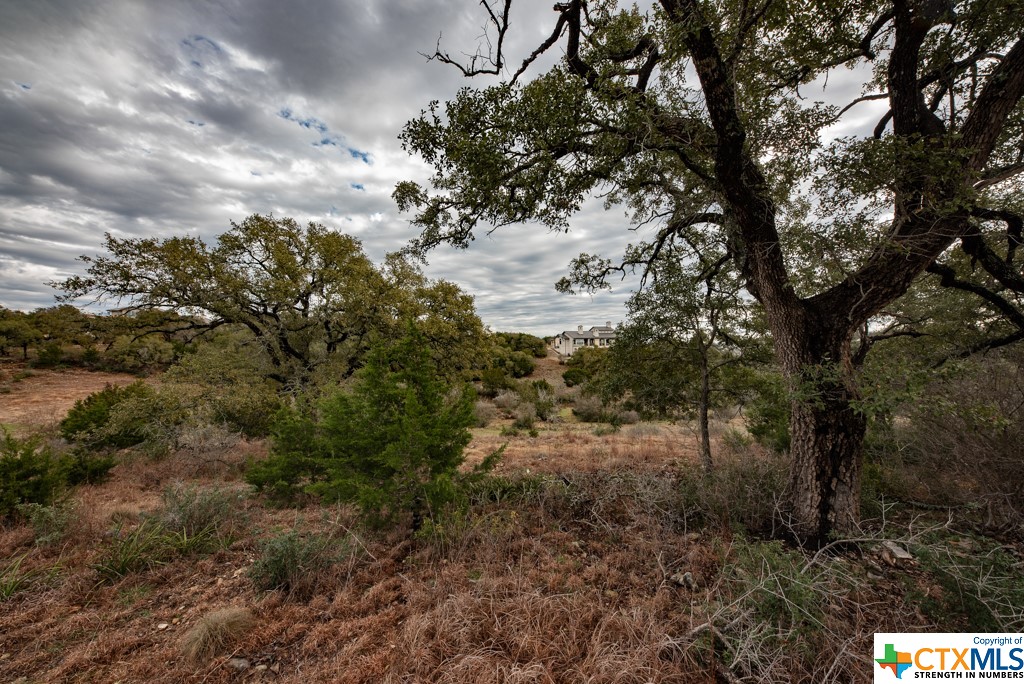 New Braunfels, Texas 78132, United States, ,Land,Active,65612