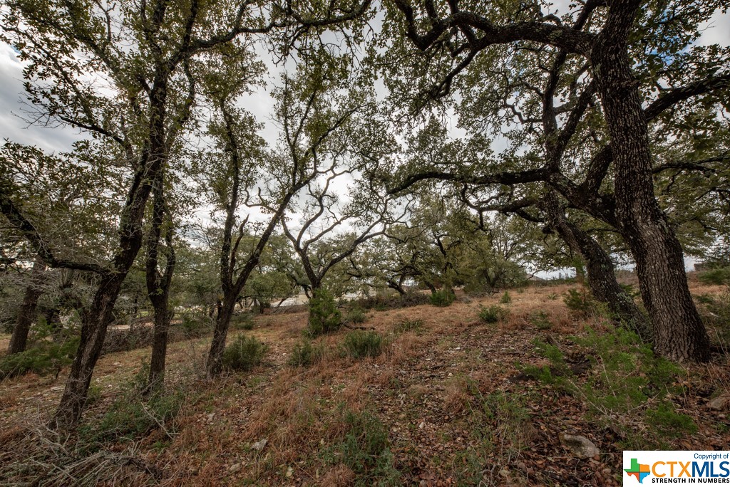 New Braunfels, Texas 78132, United States, ,Land,Active,65612