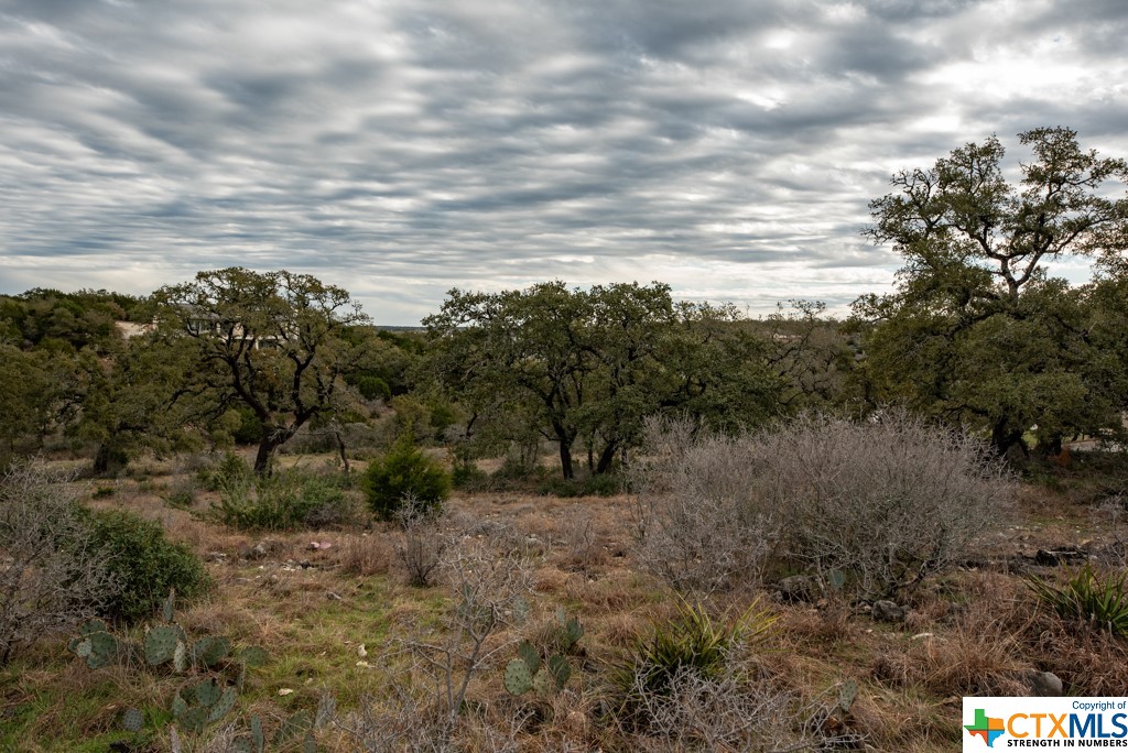New Braunfels, Texas 78132, United States, ,Land,Active,65612