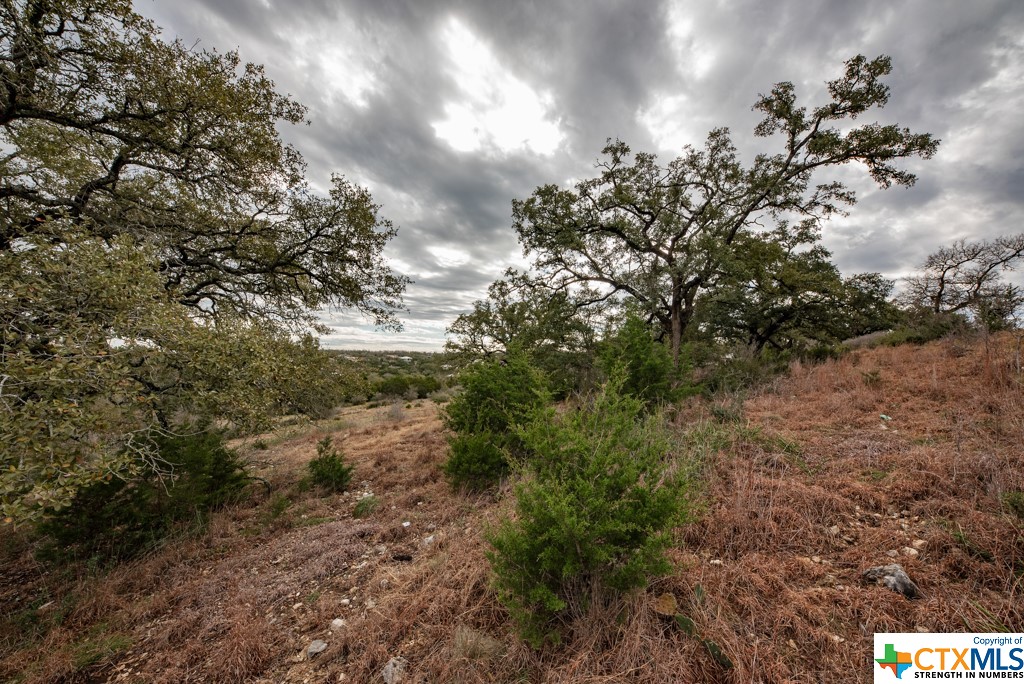 New Braunfels, Texas 78132, United States, ,Land,Active,65612