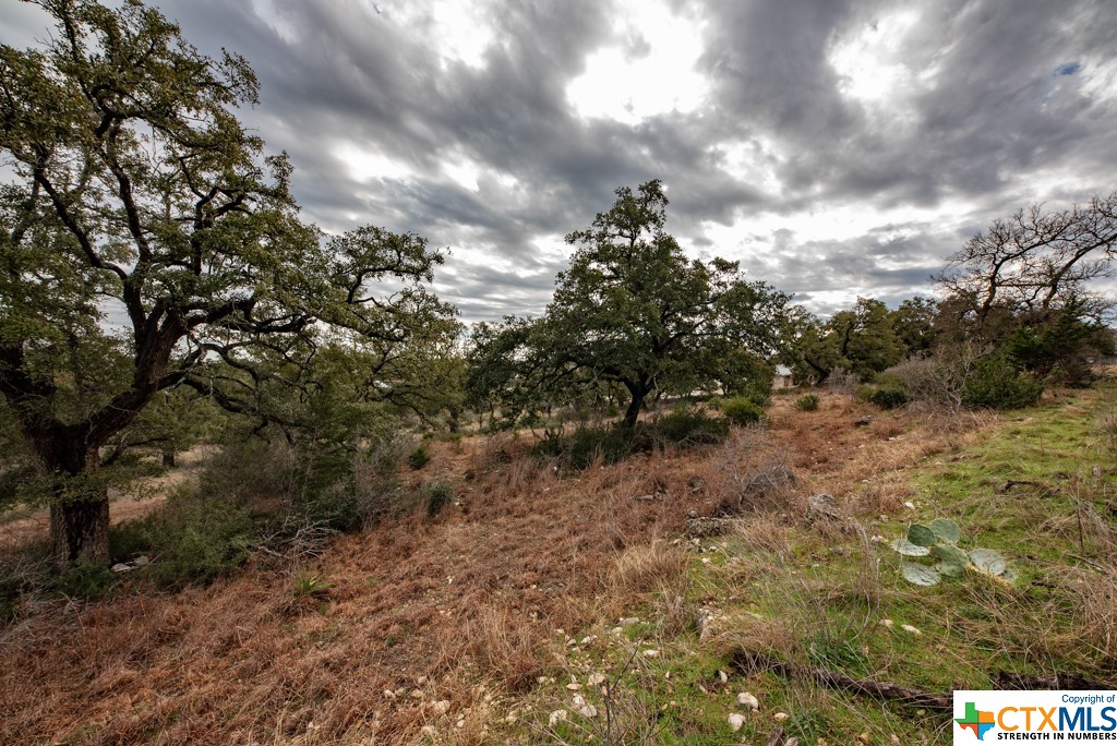 New Braunfels, Texas 78132, United States, ,Land,Active,65612